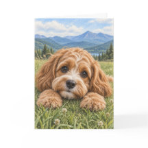 Cavapoo-Grußkarte