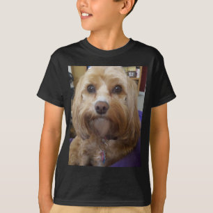 Cavapoo oder Cavadoodle Produkte T-Shirt