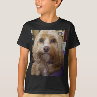 Cavapoo oder Cavadoodle Produkte T-Shirt