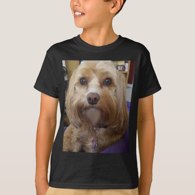 Cavapoo oder Cavadoodle Produkte T-Shirt (Vorderseite)