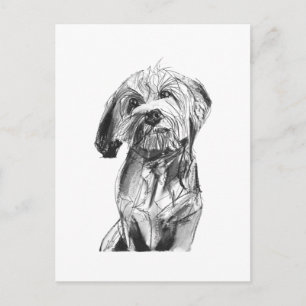 Cavapoo Postkarte – Kohlezeichnung Hund Illustrati