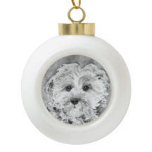 Cavapoo Watercolour.