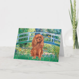 Cavavlier (Ruby7) - Brücke Karte