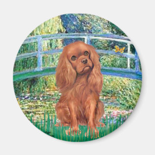 Cavavlier (Ruby7) - Brücke Magnet