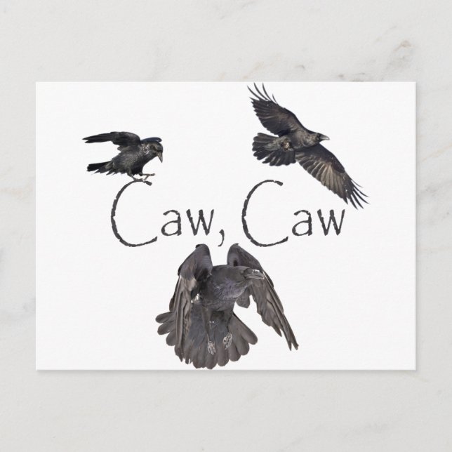 Caw Caw Postkarte (Vorderseite)