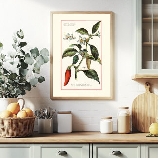 CAYENNE - BOTANISCHE VINTAGE-ILLUSTRATION POSTER