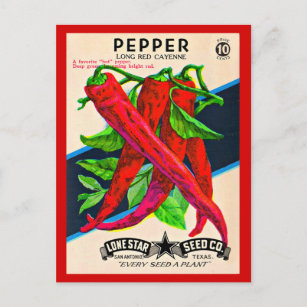 Cayenne-Paprika-Packung aus den 50er Jahren Postkarte