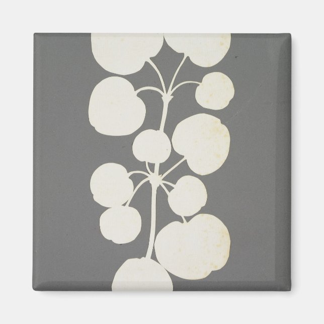 Cayenne Pepper Magnet (Vorne)