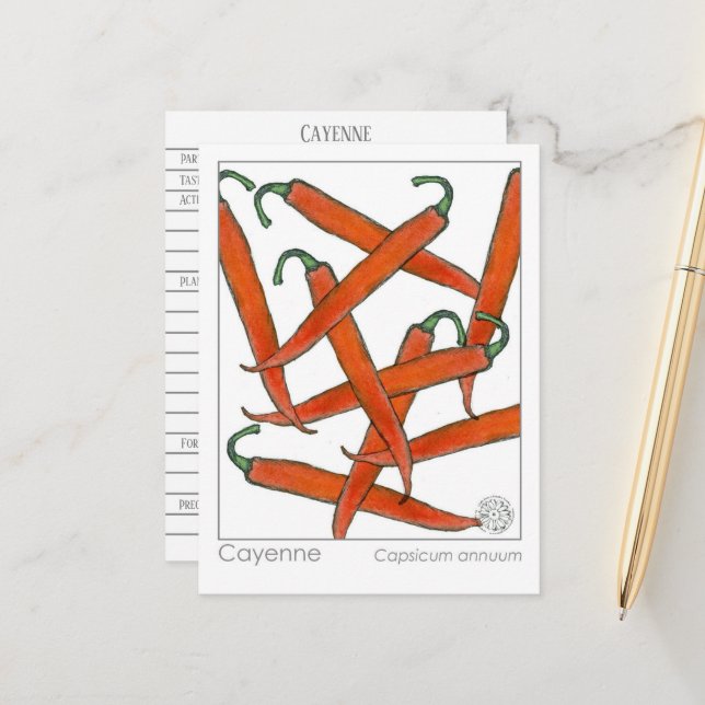 Cayenne Pepper Materia Medica Kräuterstudie Postkarte (Vorderseite/Rückseite Beispiel)