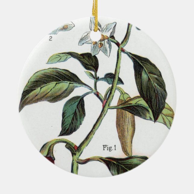 Cayenne-Pfeffer-Blume Keramikornament (Hinten)