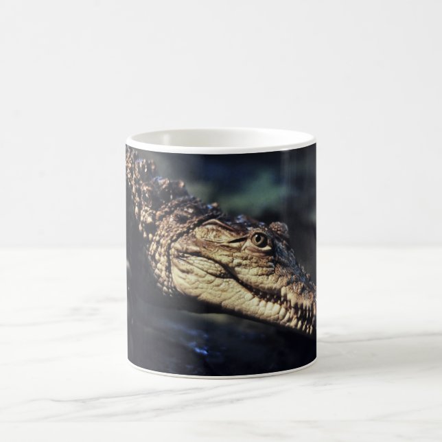 Caymankrokodil-Tasse Kaffeetasse (Mittel)