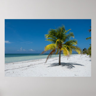 Cayo Blanco Beack in Cuba Poster