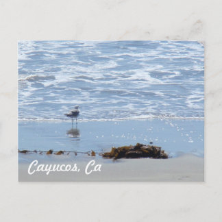 Cayucos Ca Postkarte