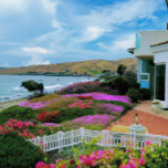Cayucos California<br><div class="desc">Dieses stilvolle Puzzle bietet eine schöne Blume, die gegen die Wellen in Cayucos, Kalifornien, blühen. Diese malerische kleine Strandstadt ist wirklich eine perfekte Szene des kleinen Küstenlebens, weit weg vom Verkehr und den Menschen der Bay Area und des Los Angeles Basin. Es liegt entlang der Pazifikküste Highway und sollte auf...</div>