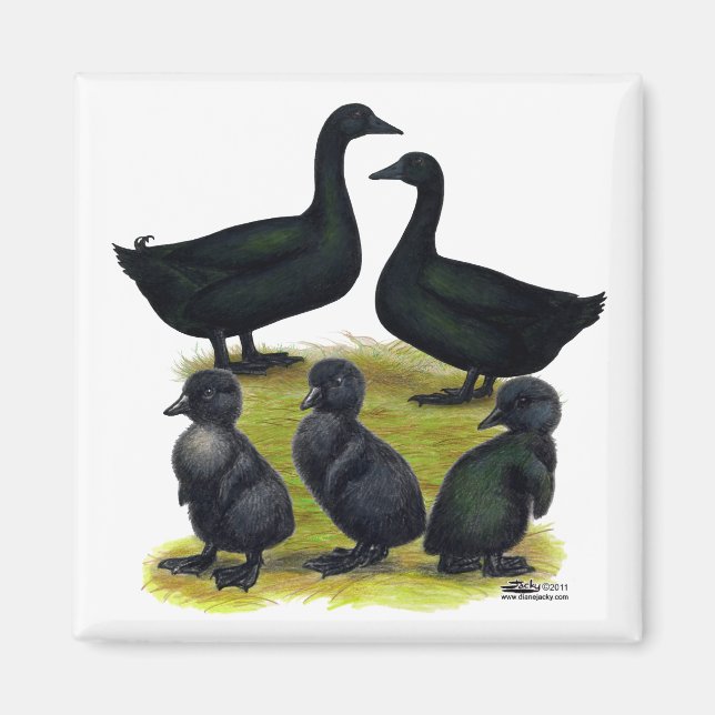 Cayuga Duck Family Magnet (Vorne)