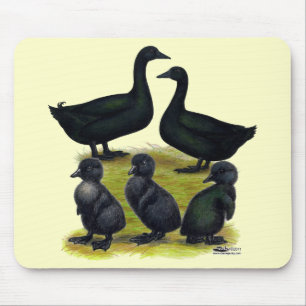 Cayuga Duck Family Mousepad