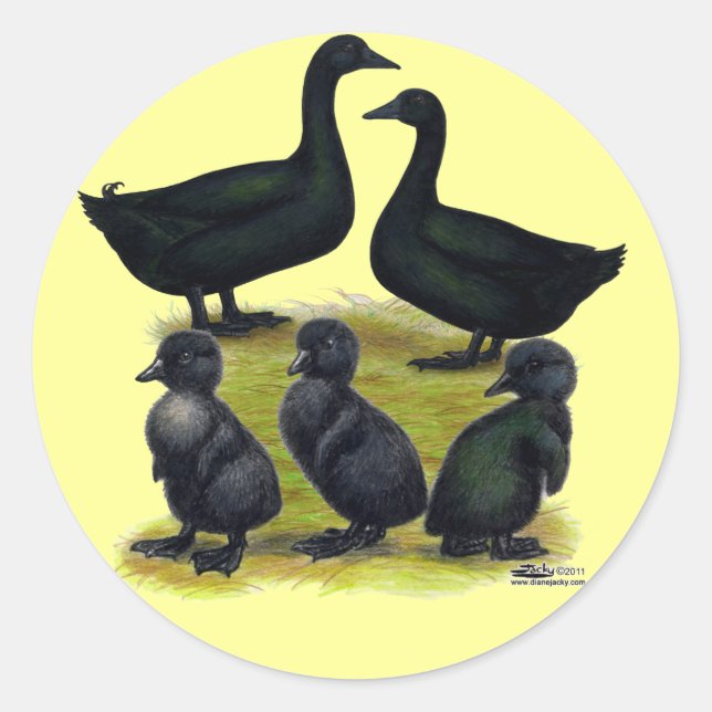 Cayuga Duck Family Runder Aufkleber (Vorderseite)