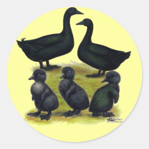 Cayuga Duck Family Runder Aufkleber