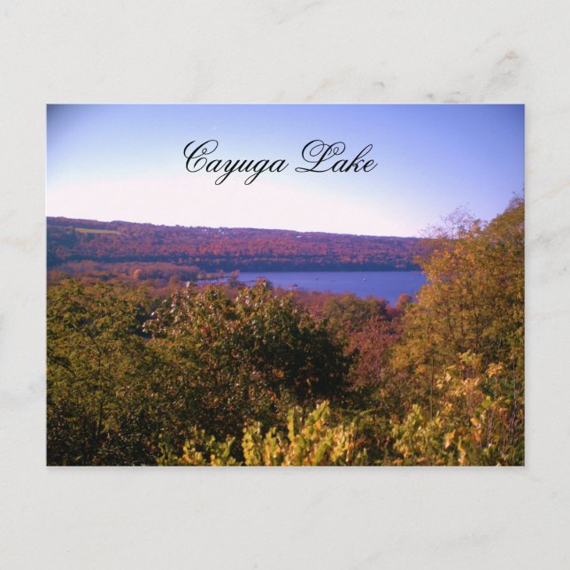 CAYUGA LAKE IN AUTUMMER Postkarte (Vorderseite)