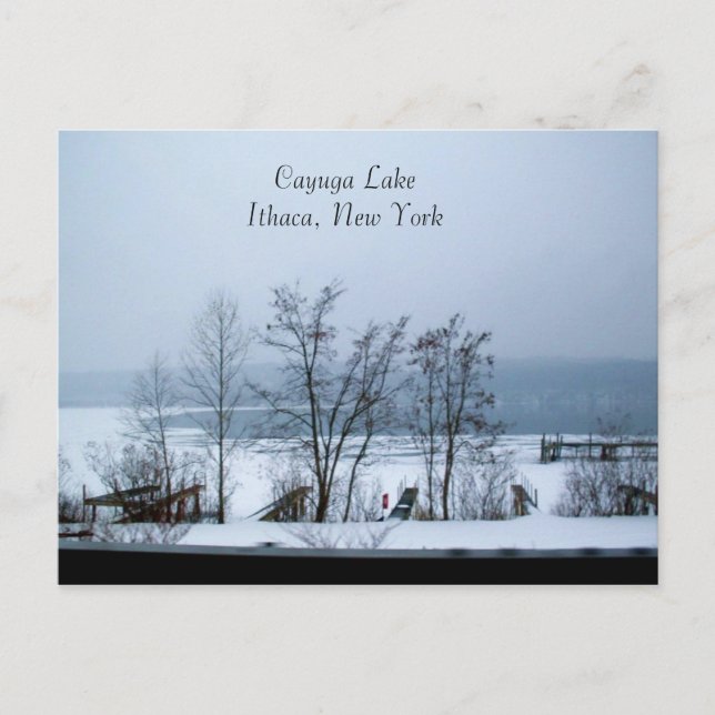 CAYUGA LAKE IN HIVER carte postale (Devant)