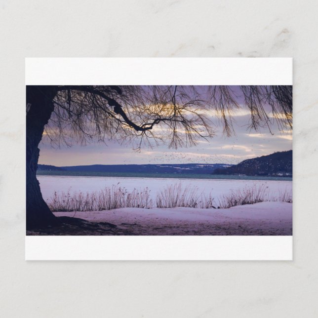 Cayuga Lake / Ithaca Postkarte (Vorderseite)