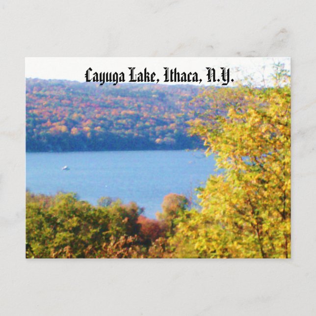 CAYUGA LAKE, ITHACA, Postkarte NEW YORK (Vorderseite)