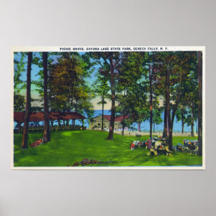 Cayuga Lake Staat Park Scene Poster