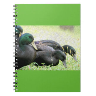 Cayuga-schwarze Enten-Kunst-Notizbuch Notizblock