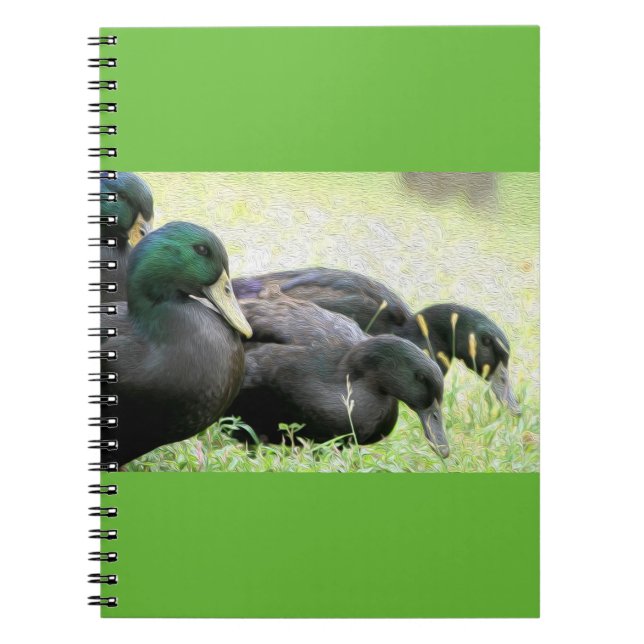 Cayuga-schwarze Enten-Kunst-Notizbuch Notizblock (Vorderseite)