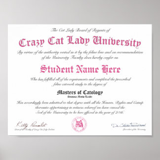 CCLU Diploma - Rosa Siegel - Katapult Poster