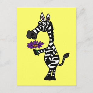 CD-Funny Zebra mit Daisy Postcard Postkarte