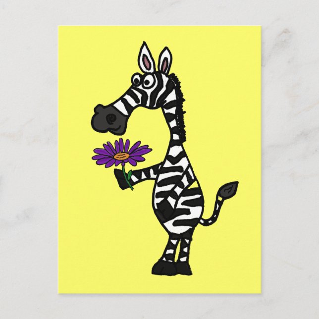 CD-Funny Zebra mit Daisy Postcard Postkarte (Vorderseite)
