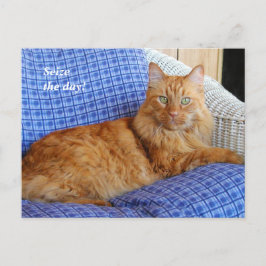 CD-Postkarte wiederherstellen Postkarte