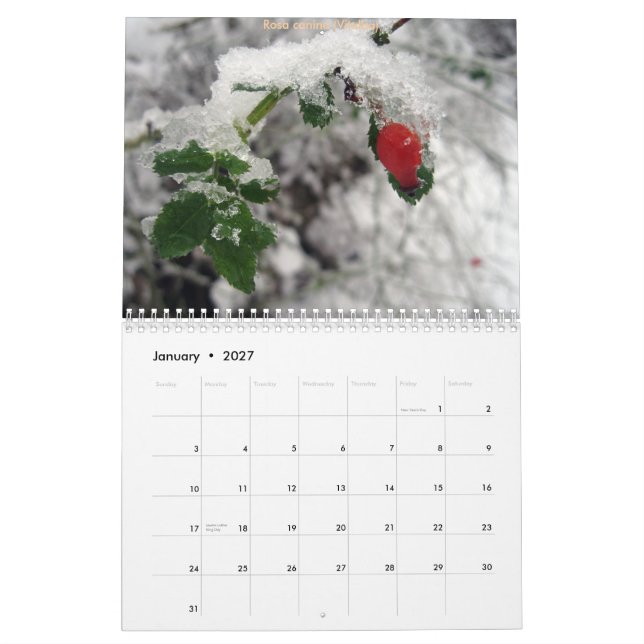 CdG 2010 Kalender (Jan 2027)