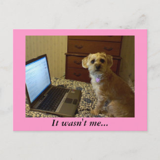 Ce n'était pas moi... Carte postale