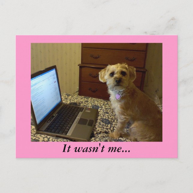Ce n'était pas moi... Carte postale (Devant)
