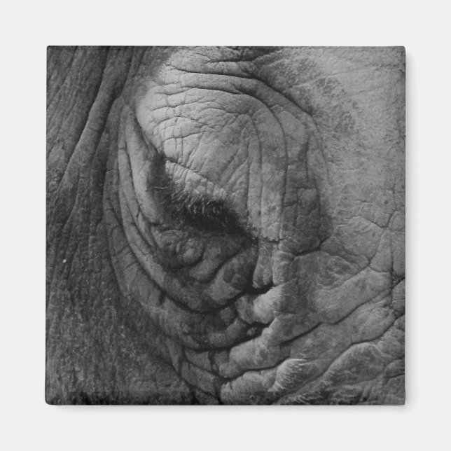 Ce que j'ai vu Rhino blanc. aimant (Devant)