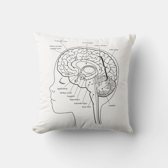 Ce qui est dans votre coussin de cerveau (Recto)