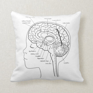 Ce qui est dans votre coussin de cerveau