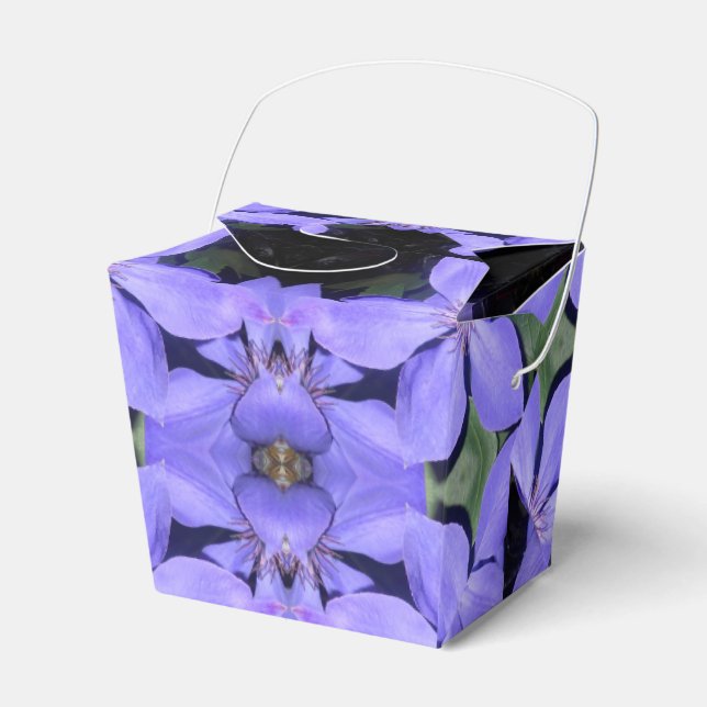 Cé sarine geschenkschachtel (Vorderseite)