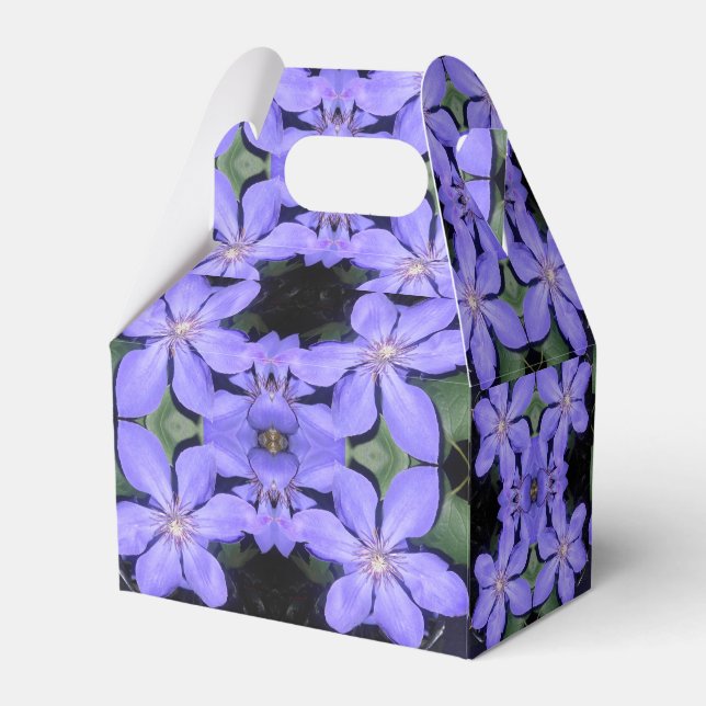 Cé sarine geschenkschachtel (Rückseite)