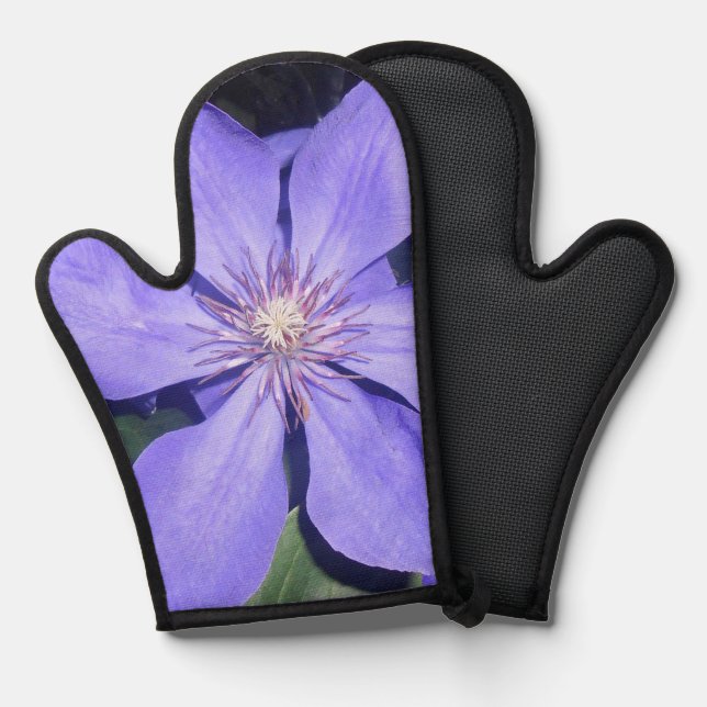 Cé sarine ofenhandschuh (Vorderseite/Rückseite)