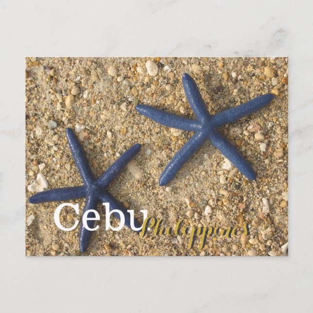 Cebu Philippines Blue Starfish Postkarte (Vorderseite)