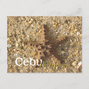 Cebu Philippines Brown Starfish Postkarte