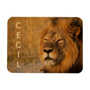 Cecil the Lion aus Afrika Magnet