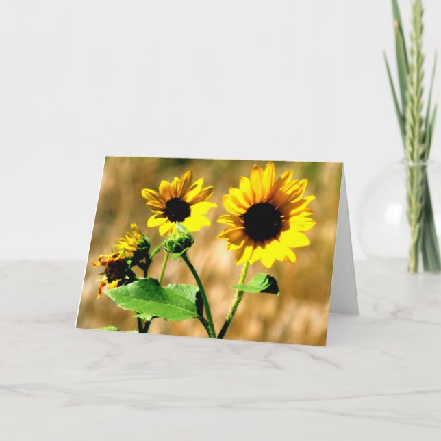 CEDA - SONNENBLUME - LEERE KARTE (Vorderseite)
