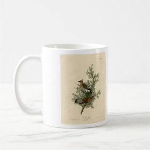 Cedar Bird, Cedar Waxwing Audubon Birds of America Kaffeetasse