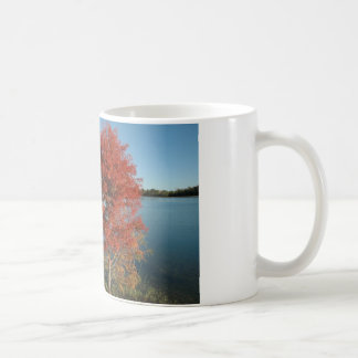 CEDAR CREEK AM WEIDE-BAUM KAFFEETASSE