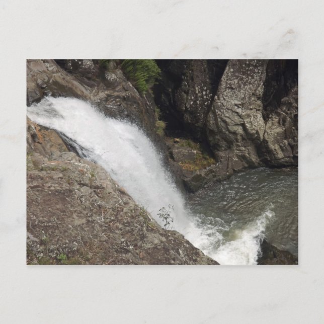 Cedar Creek Falls Postkarte (Vorderseite)