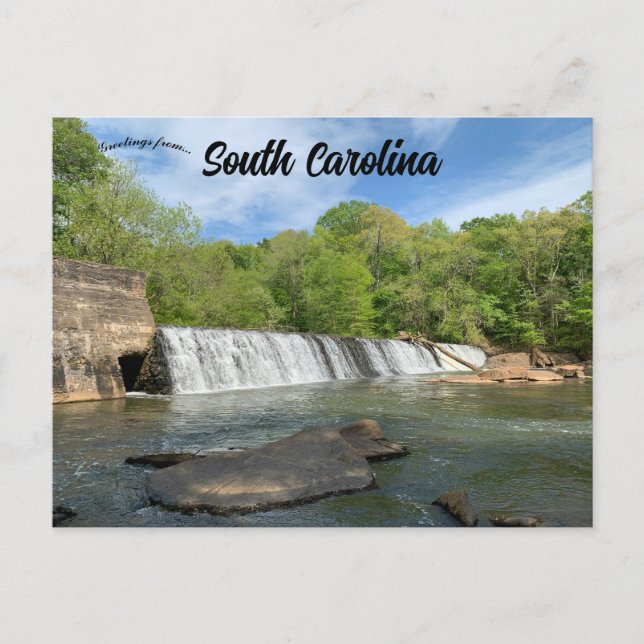 Cedar Falls Park South Carolina Postkarte (Vorderseite)